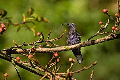 《Slot Waste》Steam页面上线  奇葩异形制造模拟